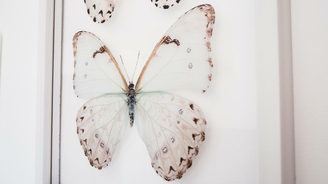贝纳尔马德纳Casa De Mariposas公寓 外观 照片